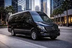 Executive Van — Mercedes Sprinter​